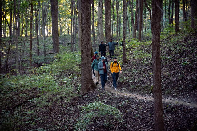 Lawrance Creek Trail — photo 4